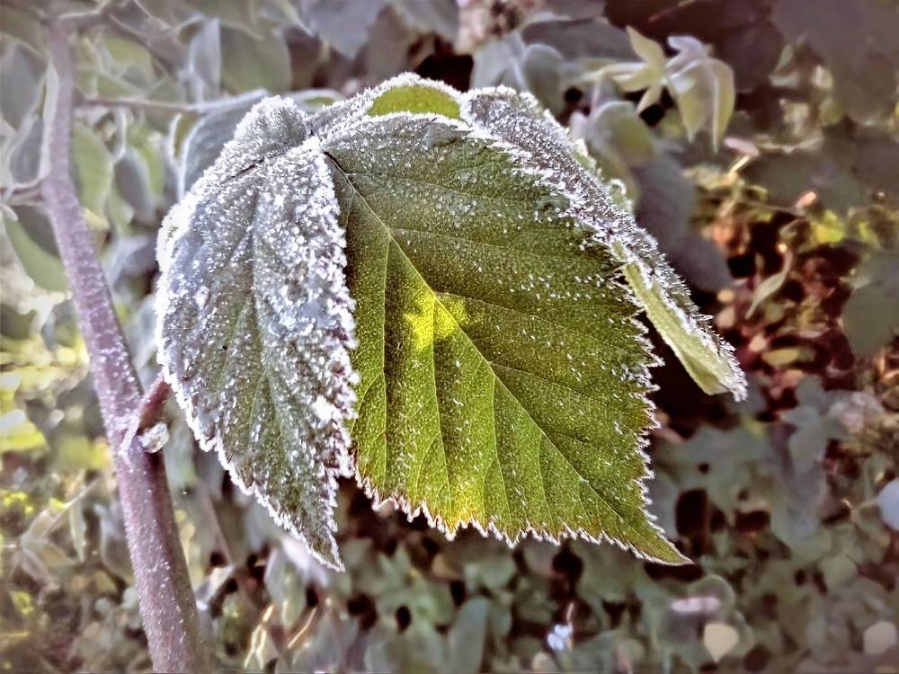 Photograph by София Бояринцева