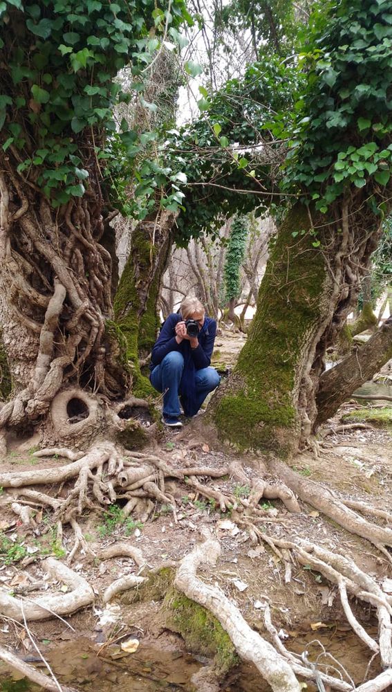 Photograph by Саиди Светлана