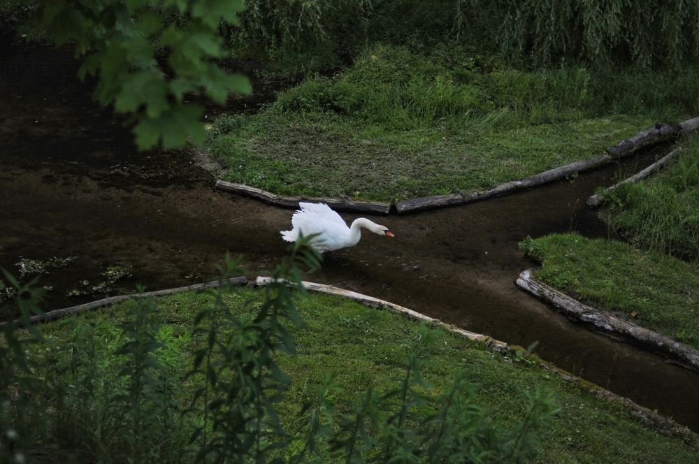 Photograph by Виктория Горельченко