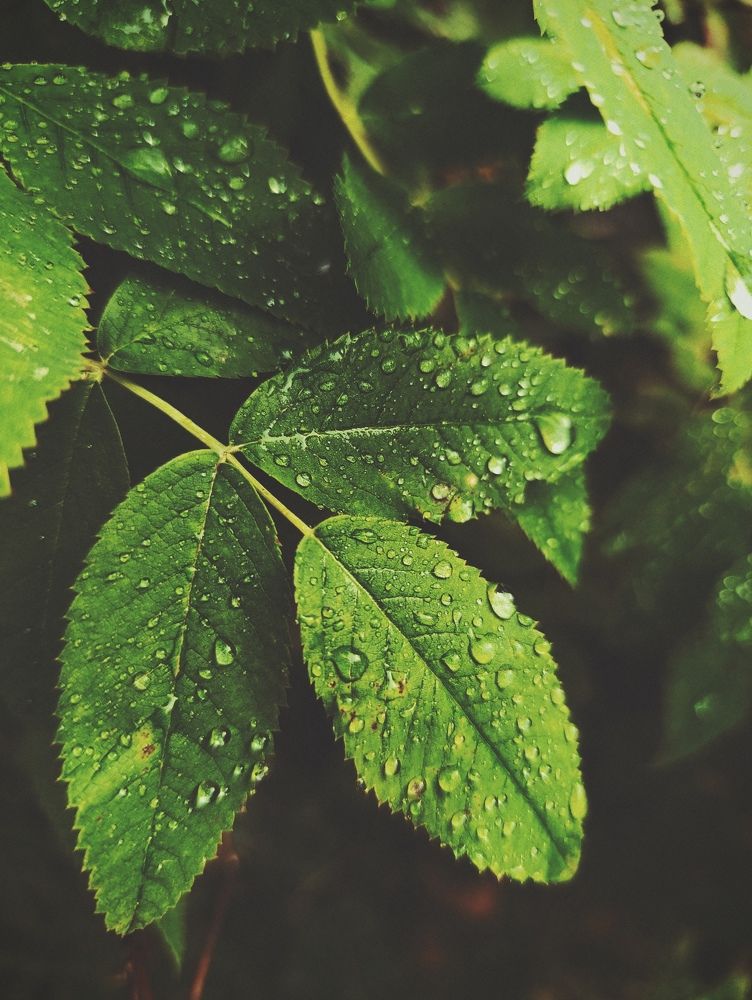 Photograph by Юлия Смирнова