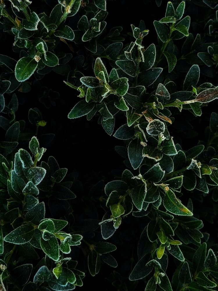 Photograph by Алина