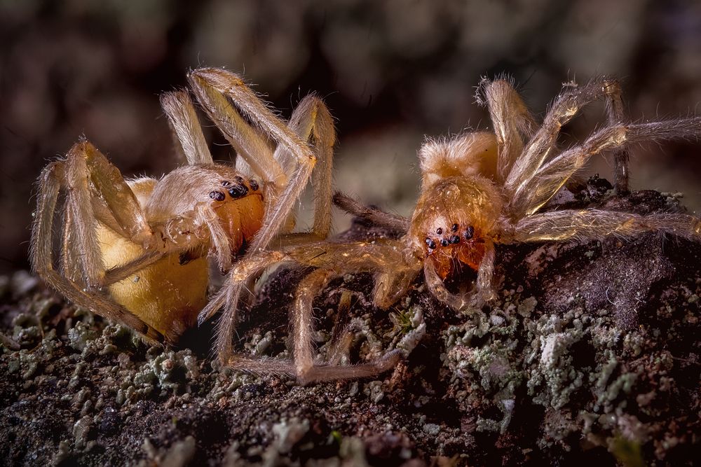 Photograph by Юрий Яковлевич