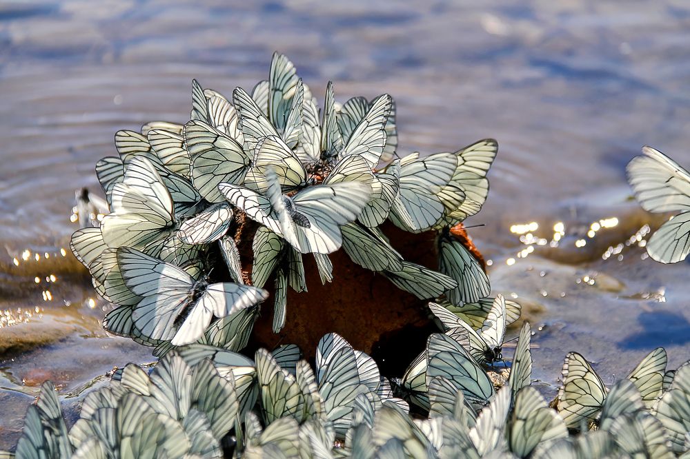 Photograph by Марина Юдинских