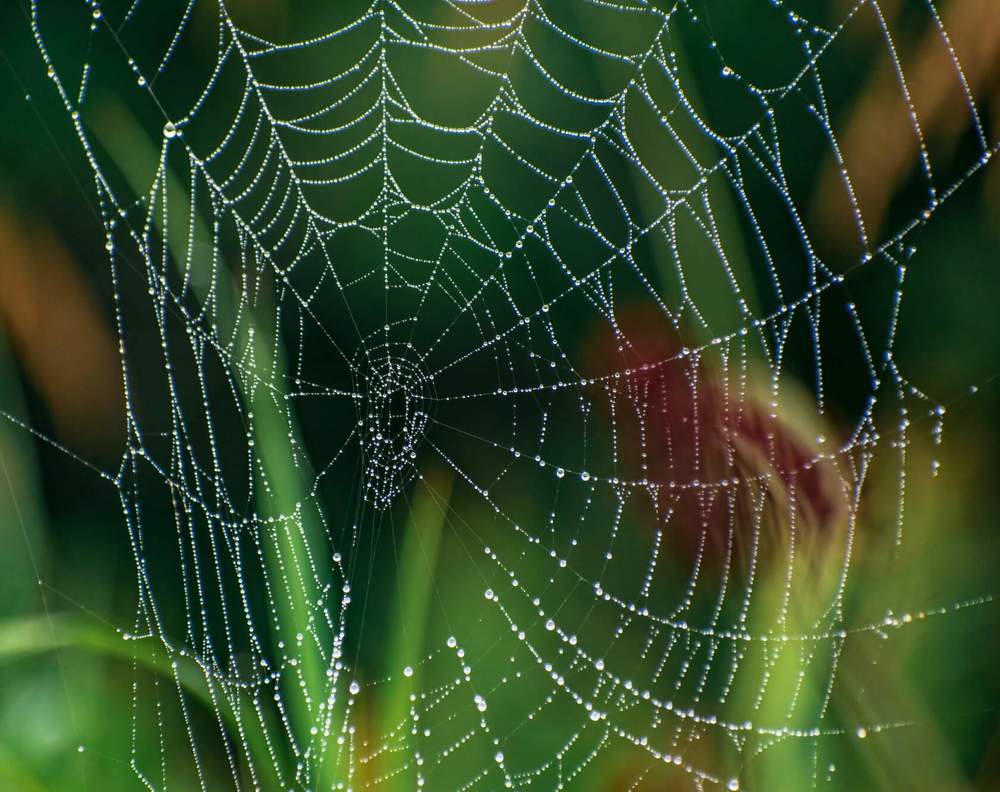 Photograph by Irina Luidinshina