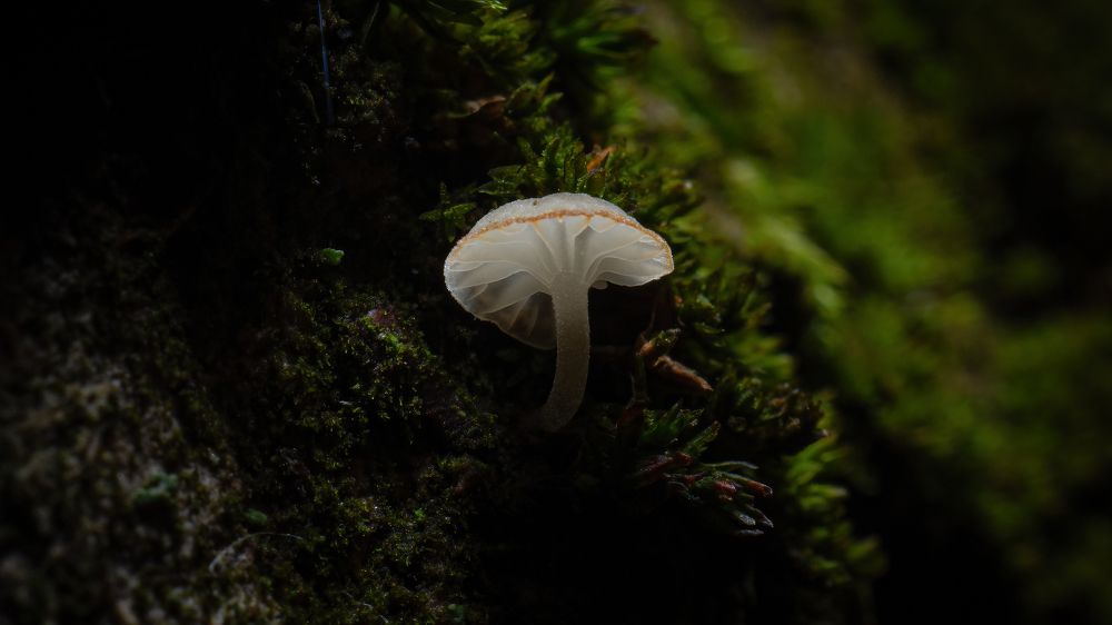 Photograph by Мичурин Андрей