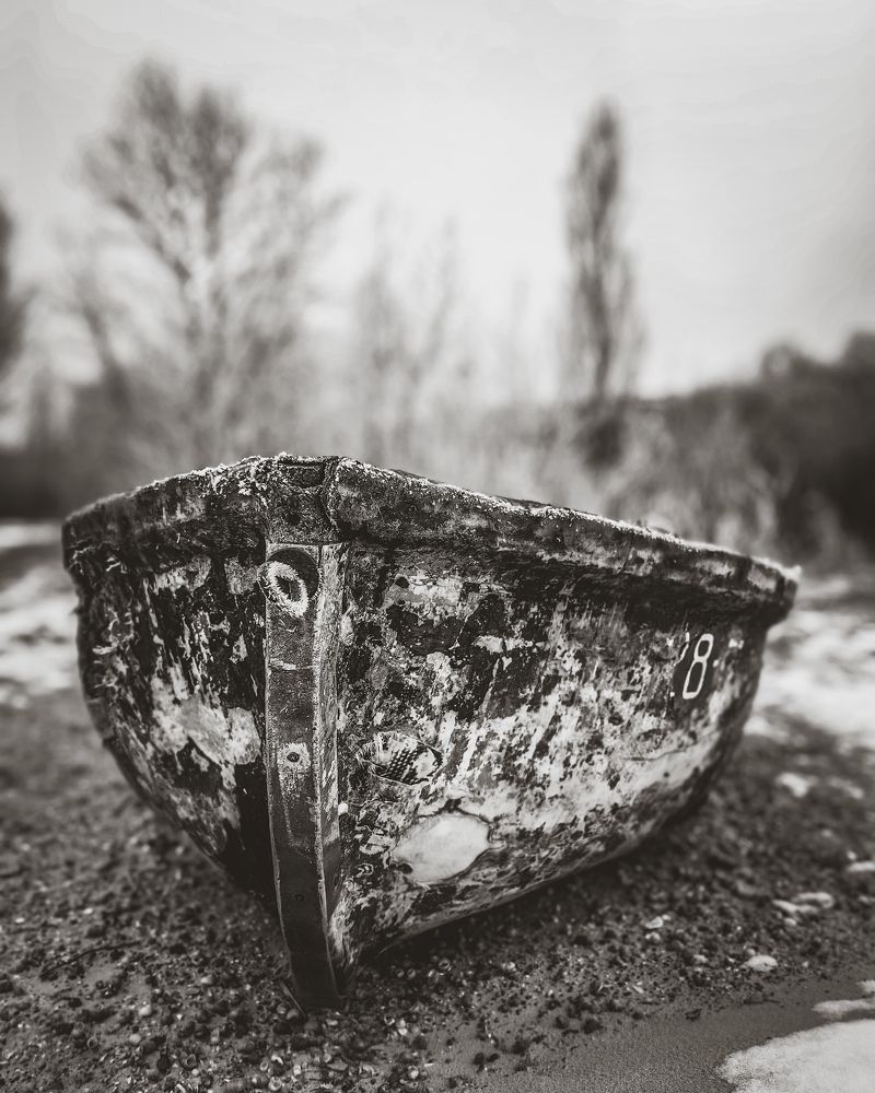 Photograph by Алексей Гуминский