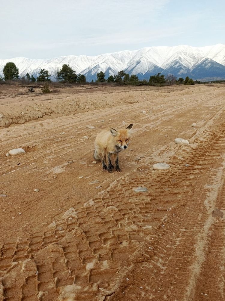 Photograph by Наталья Спешилова