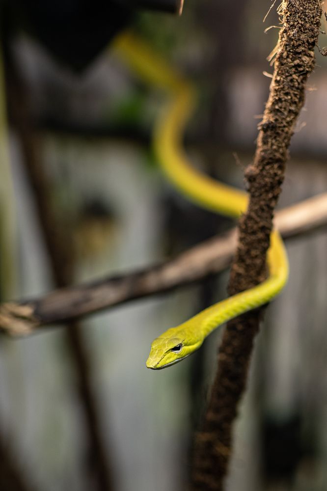 Photograph by Максим Мураков