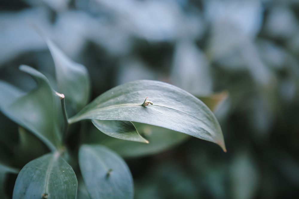 Photograph by Саиди Светлана