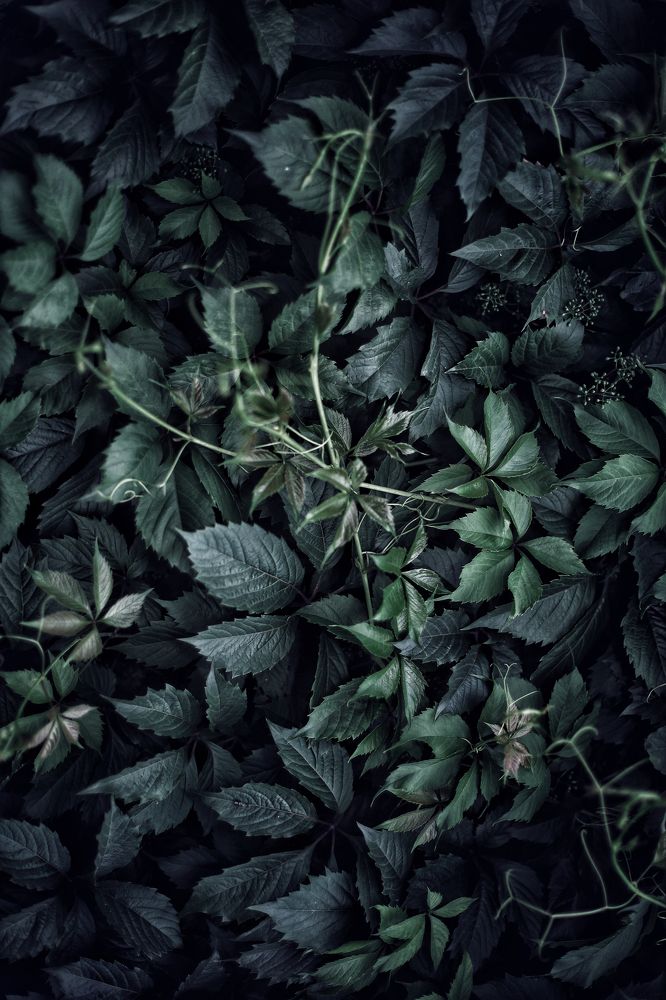 Photograph by Людмила Евстратова