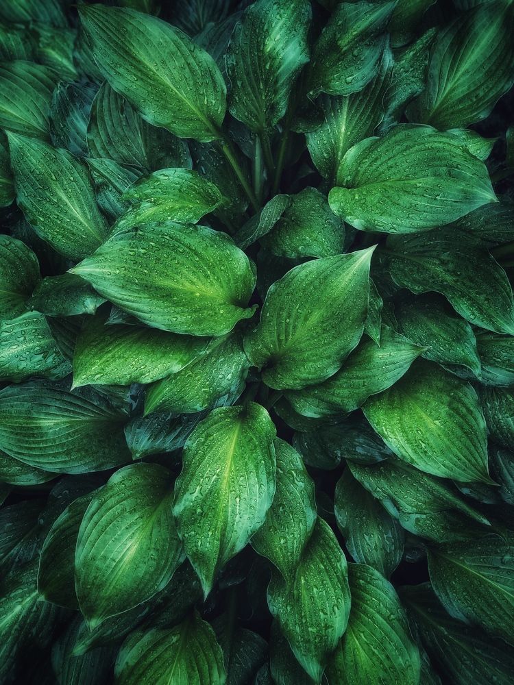 Photograph by Людмила Евстратова