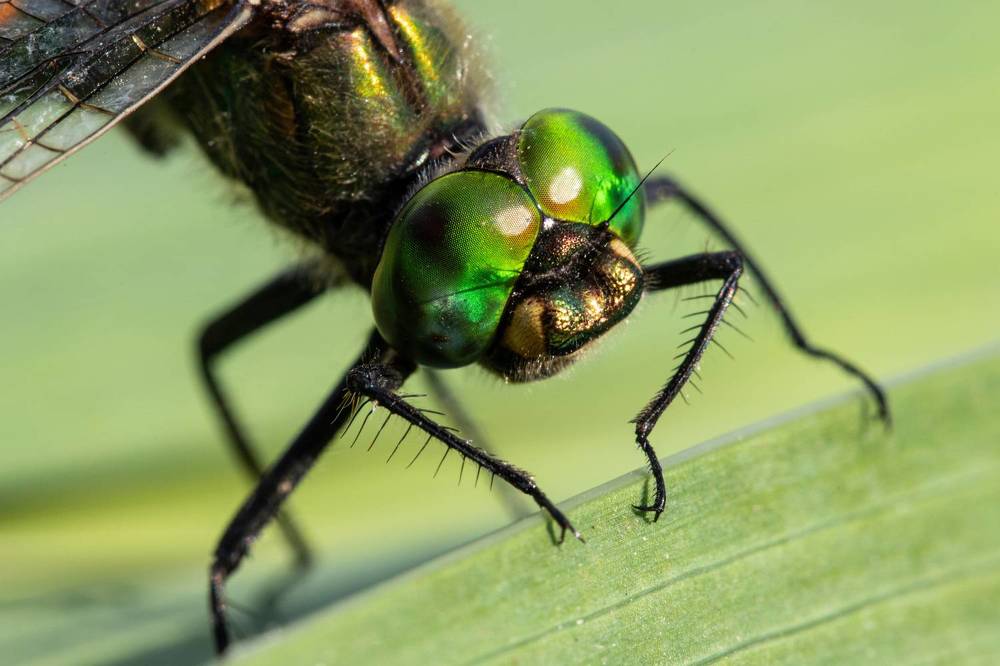 Photograph by Максим Мураков