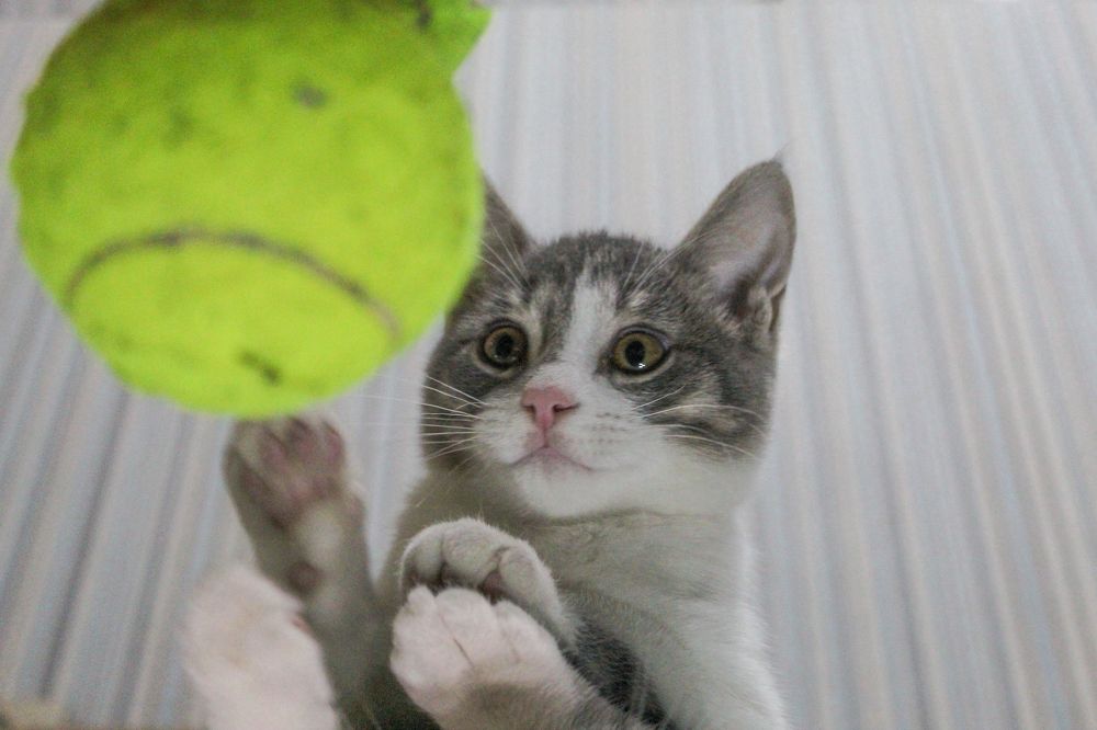 Photograph by Михаил Мархинин