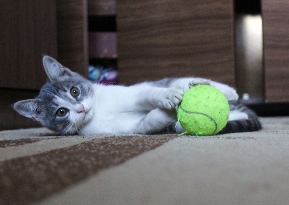 Photograph by Михаил Мархинин