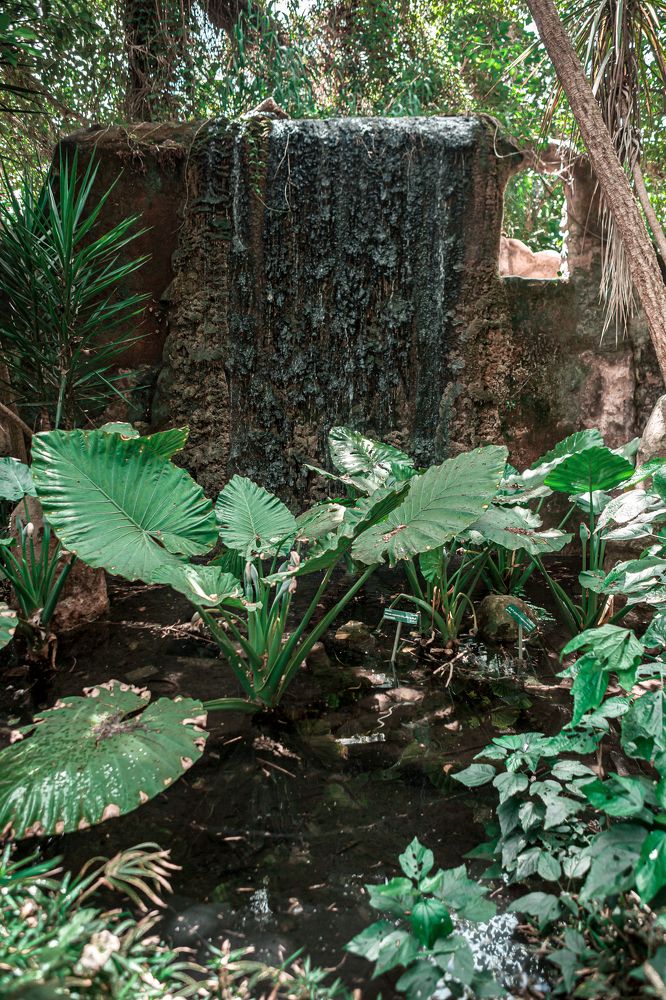 Photograph by Саиди Светлана