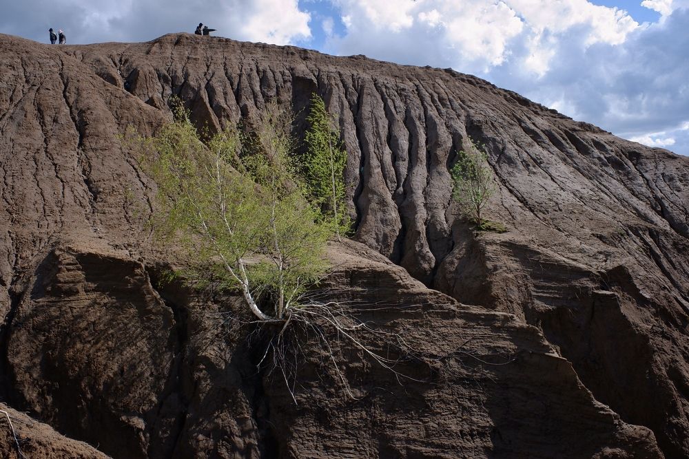 Photograph by Виктория Горельченко