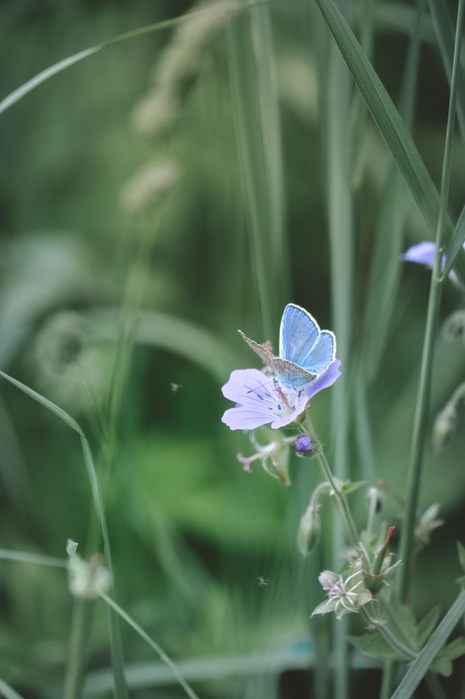 Photograph by Маруся Арбуа