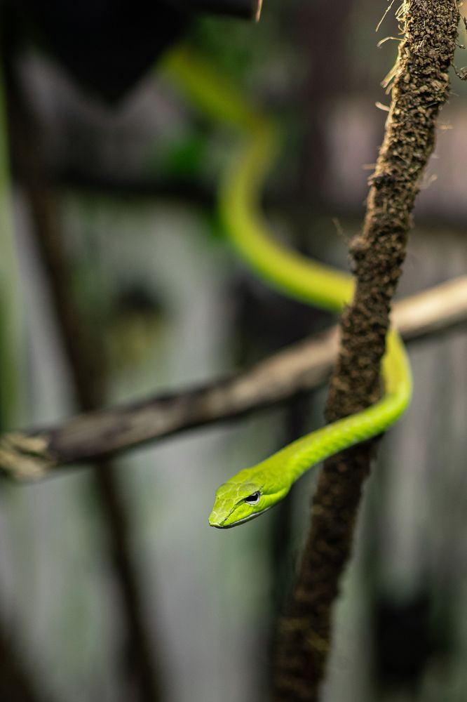 Photograph by Максим Мураков