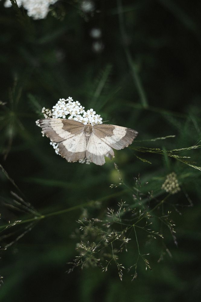 Photograph by Маруся Арбуа