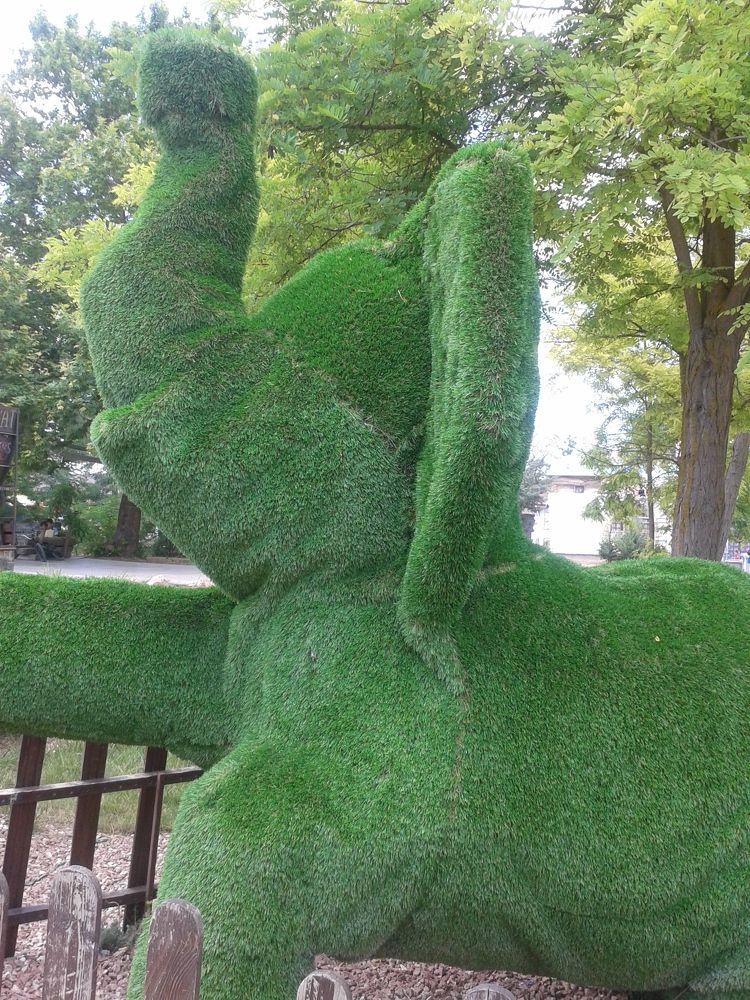 Photograph by Светлана Зотова