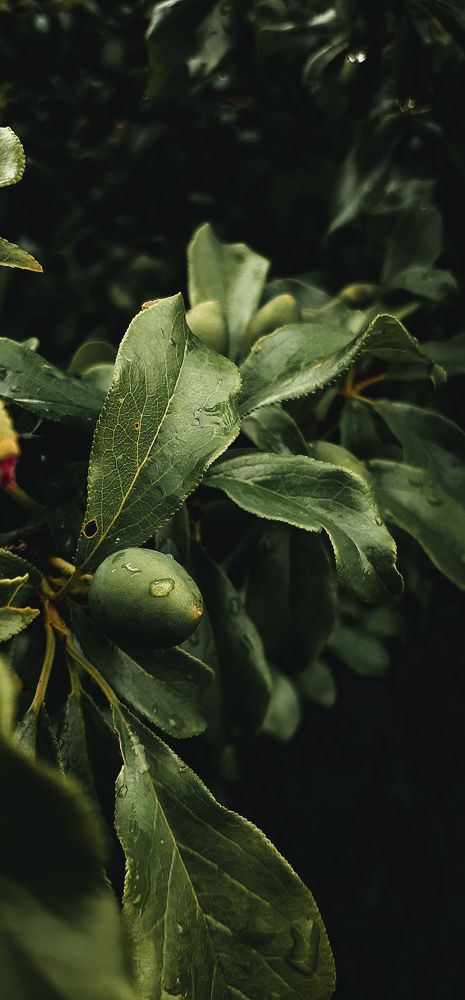 Photograph by Кристина Присяжная