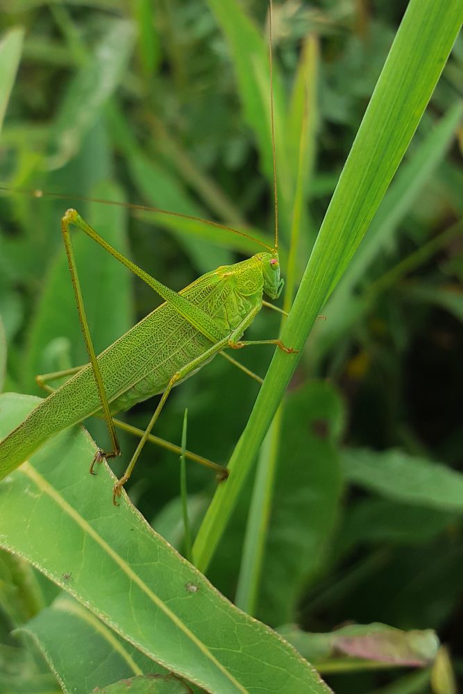 Photograph by Кристина Присяжная