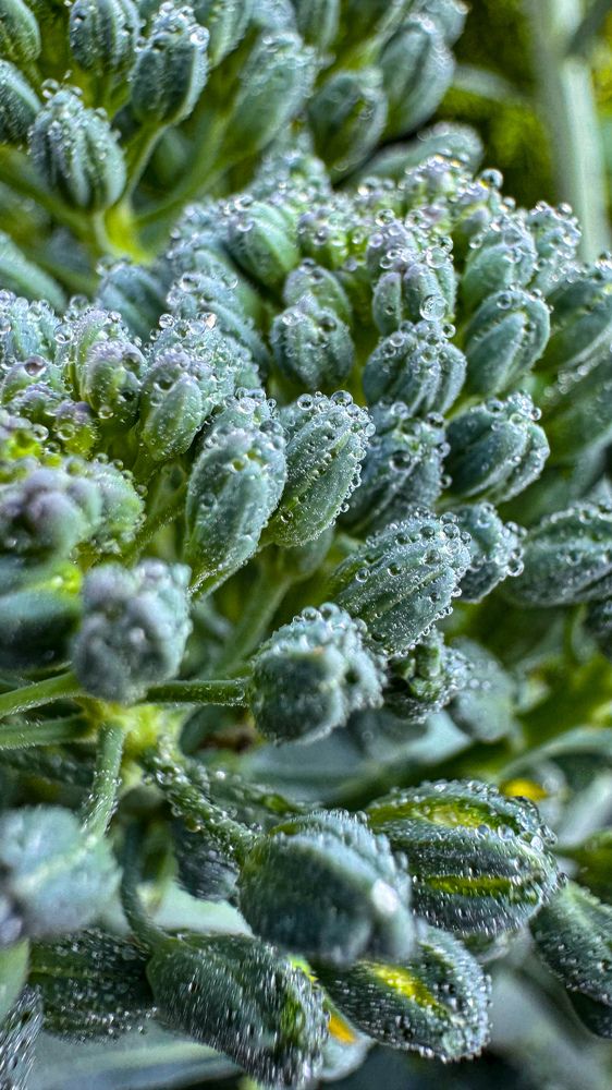 Photograph by Екатерина Слепнева