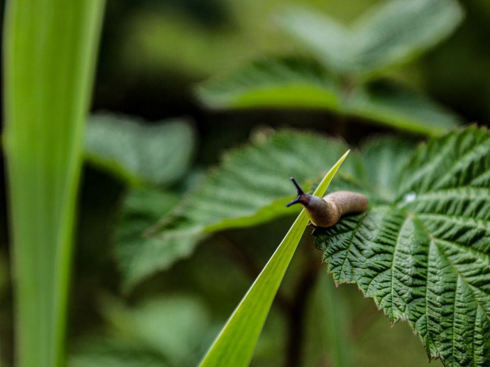 Photograph by Екатерина Слепнева