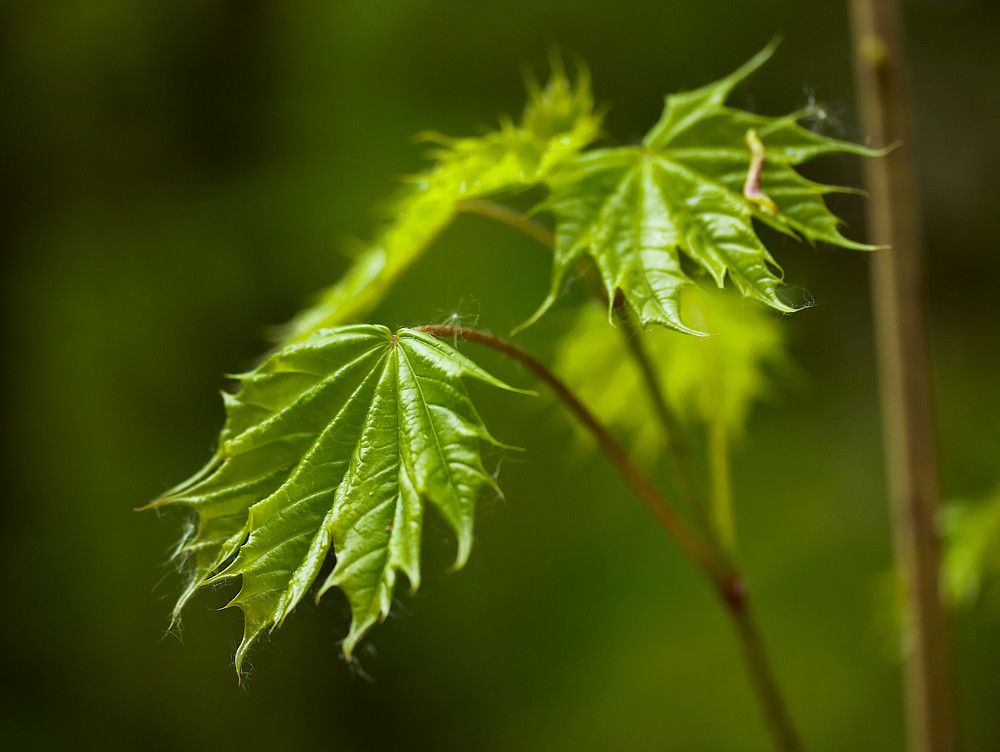 Photograph by Гагик Саркисян