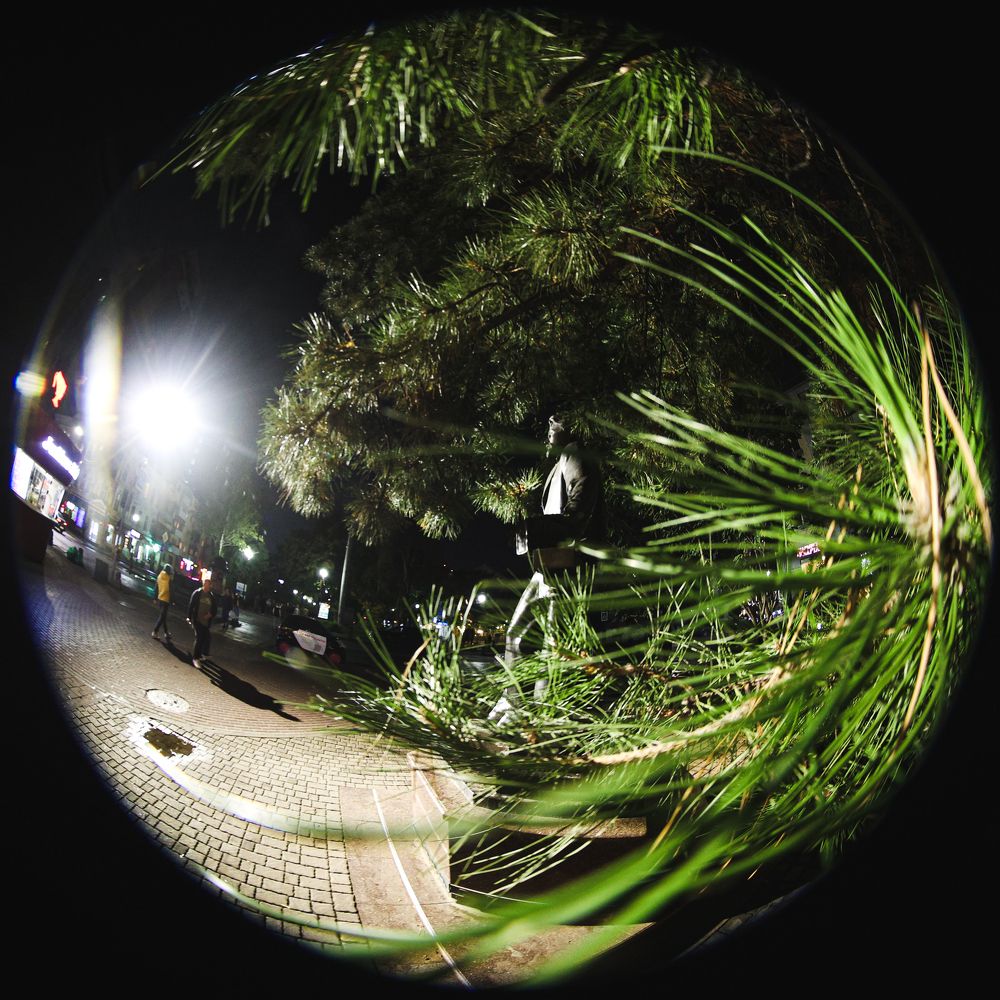 Photograph by Ника Обида