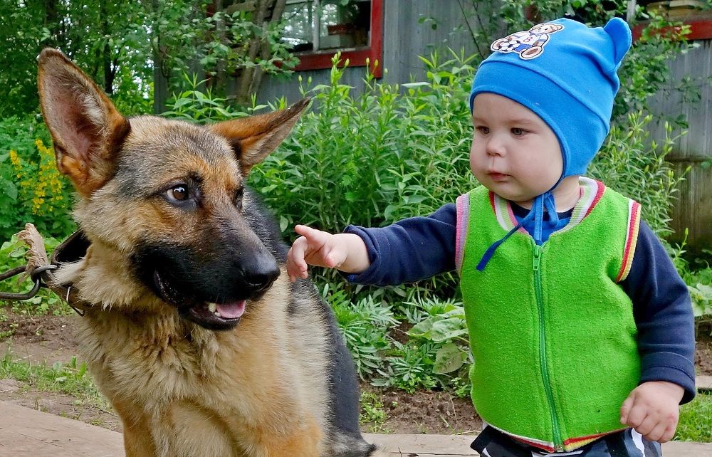 Photograph by Виктор Решетников