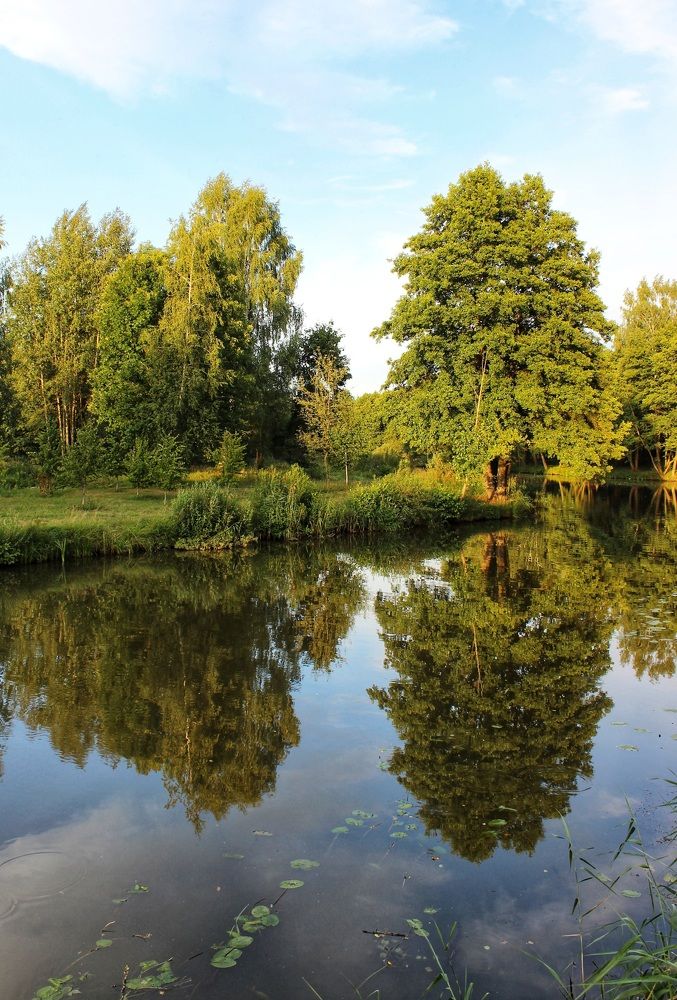 Photograph by Татьяна Сычёва