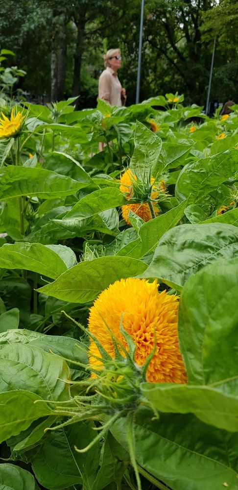 Photograph by Edmund Randal