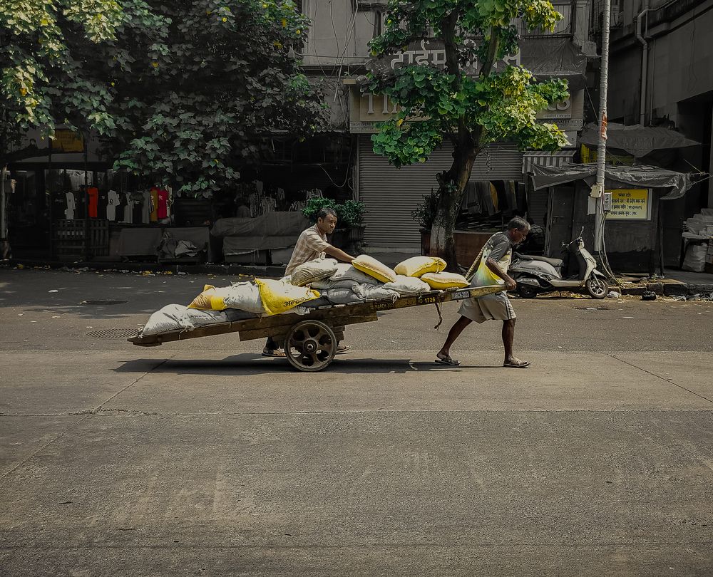 Photo #11364560