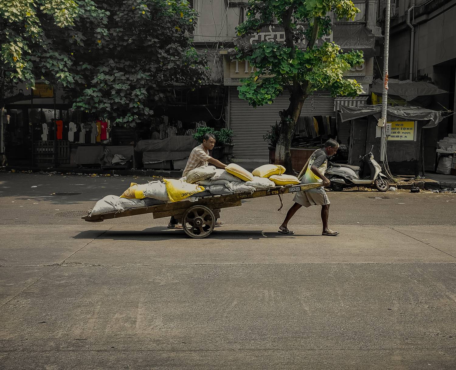 Photo #11364560