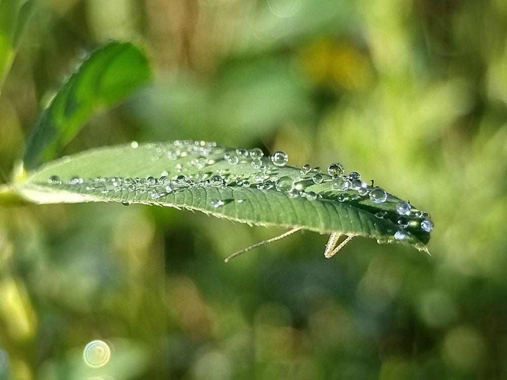 Photograph by Елена Павлова