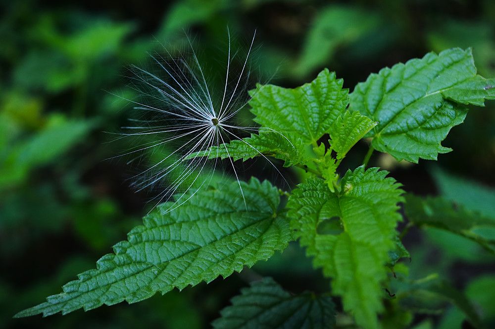 Photograph by Гагик Саркисян