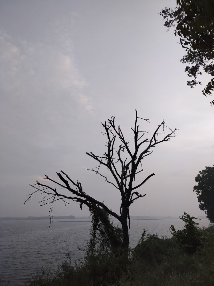 Photo #11364591
