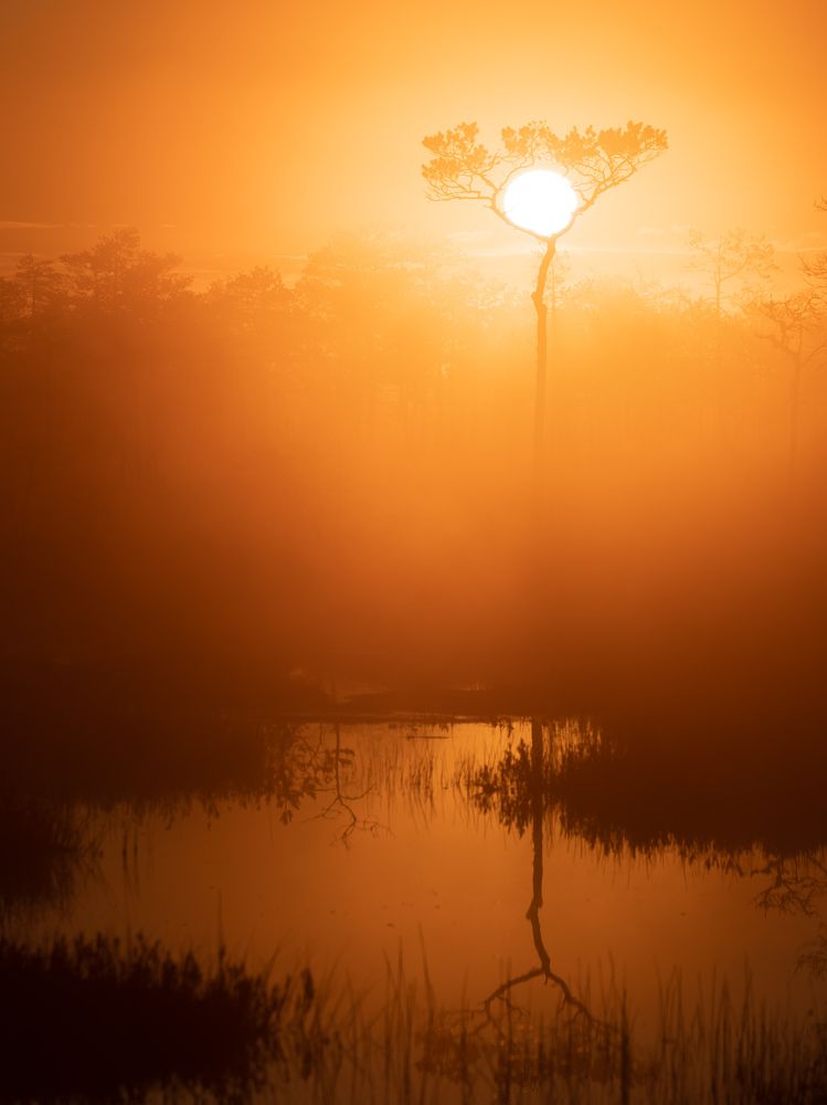 Photograph by Михаил Азаров