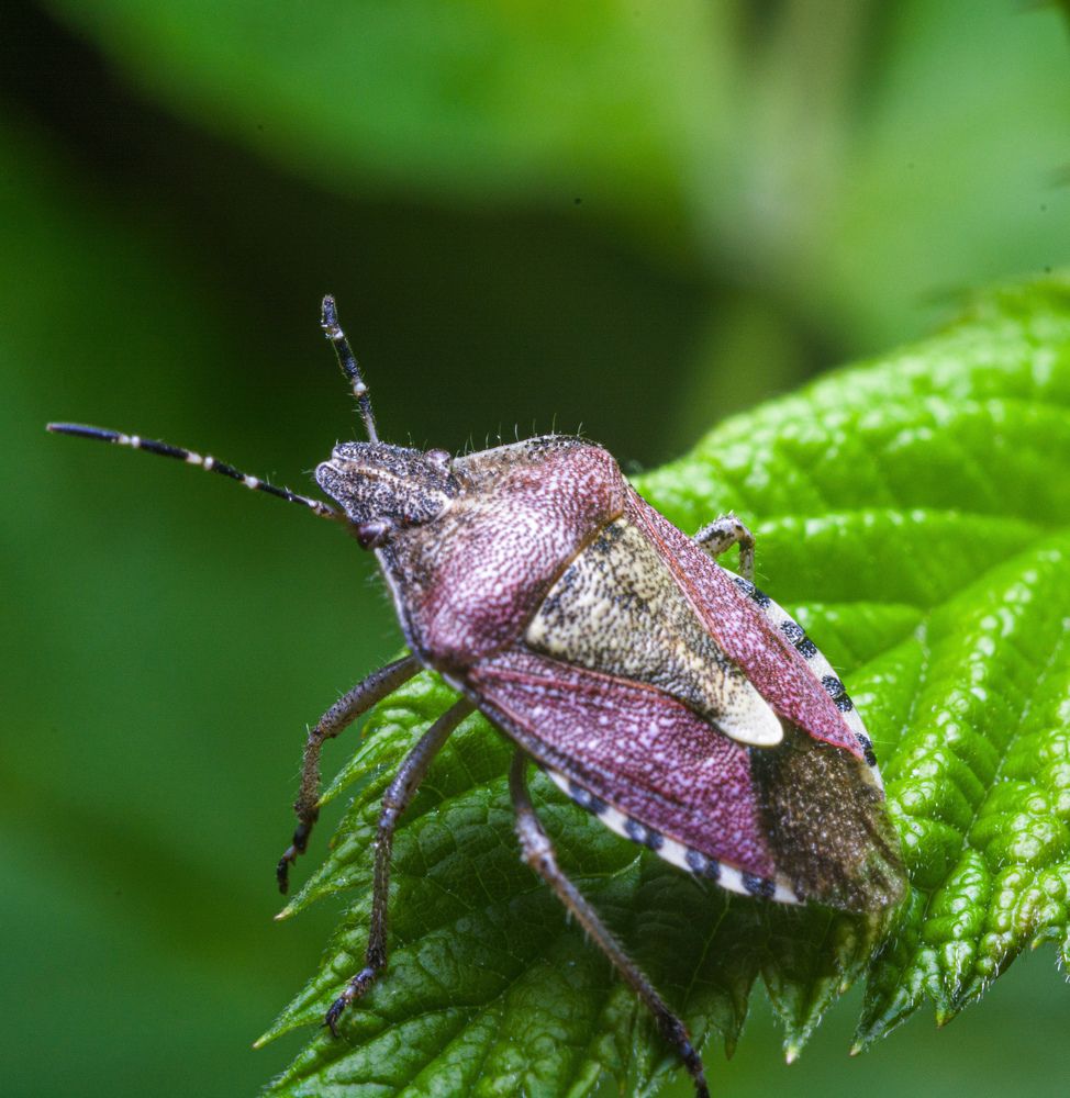 Photograph by Ирина Сеимова