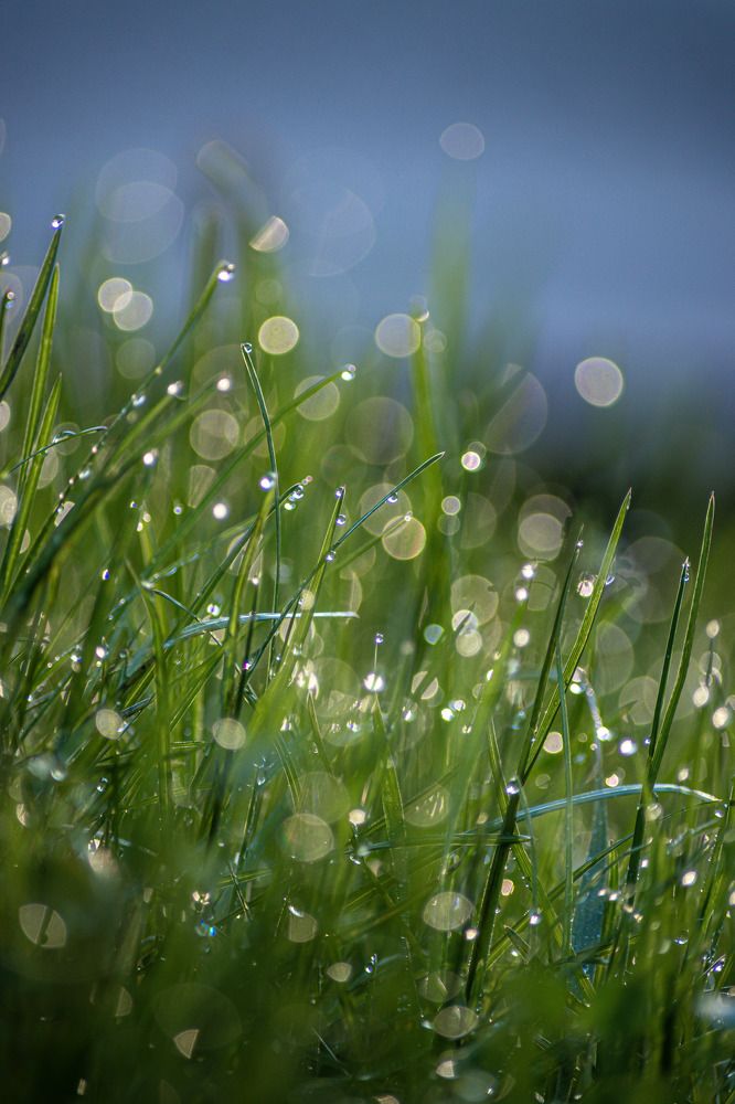 Photograph by Angelina Bukina