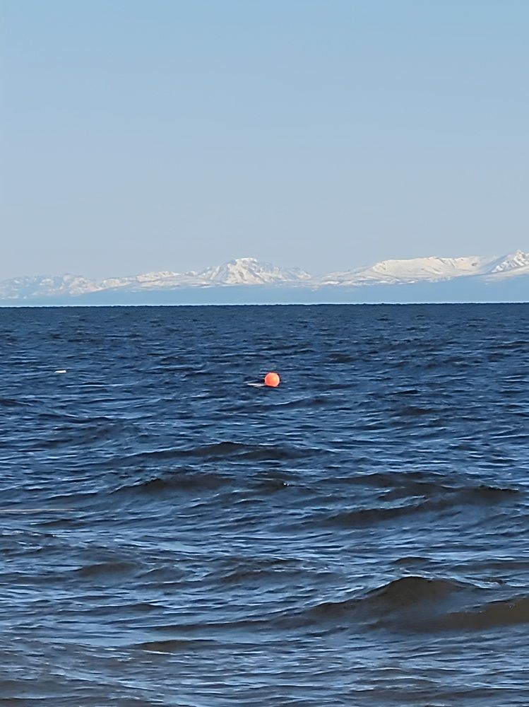 Фотография автора Казакова Людмила Ивановна