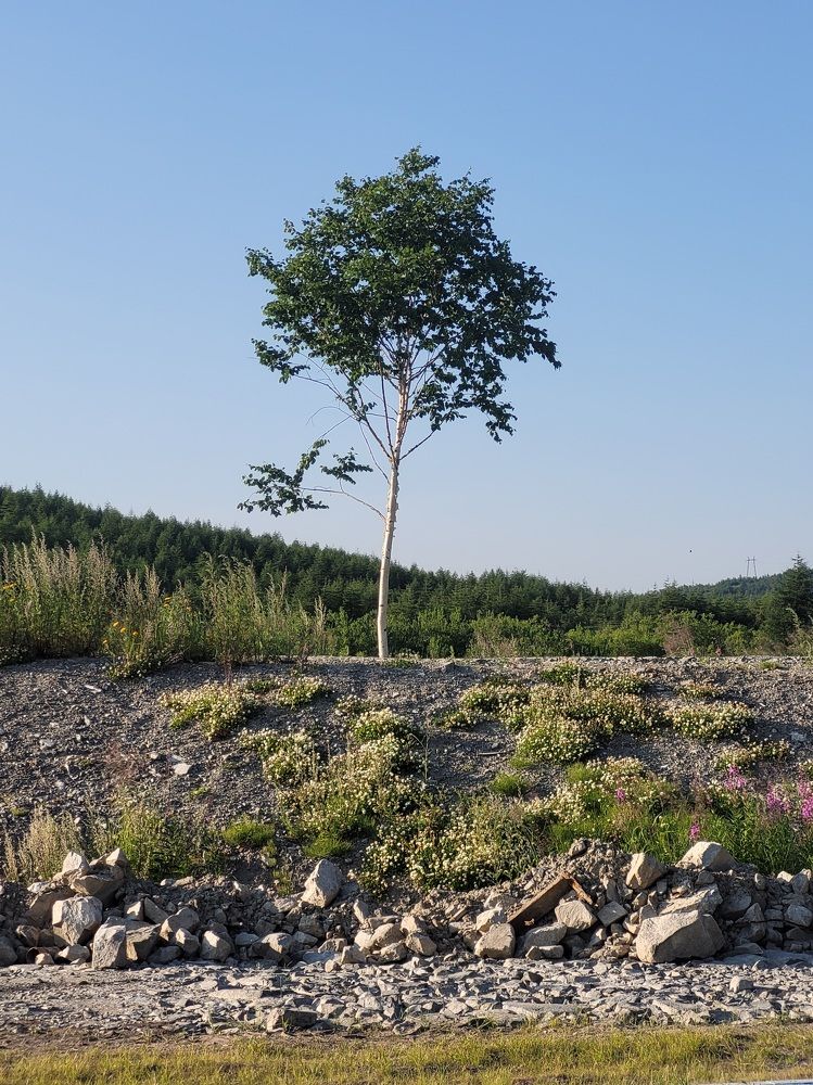 Фотография автора Казакова Людмила Ивановна
