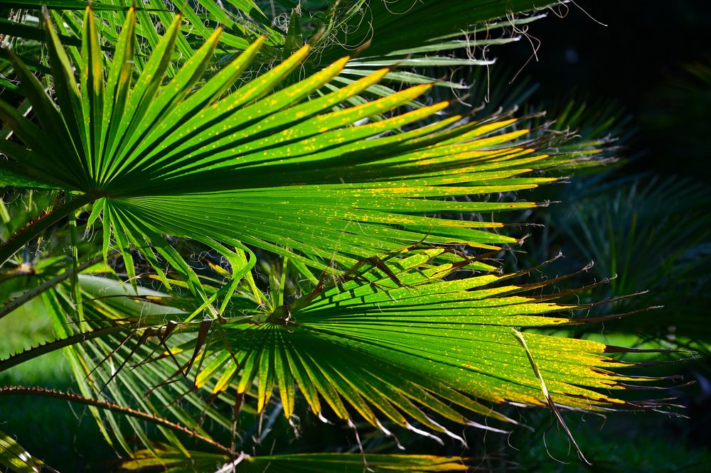 Фотография автора Сергей Сынтин