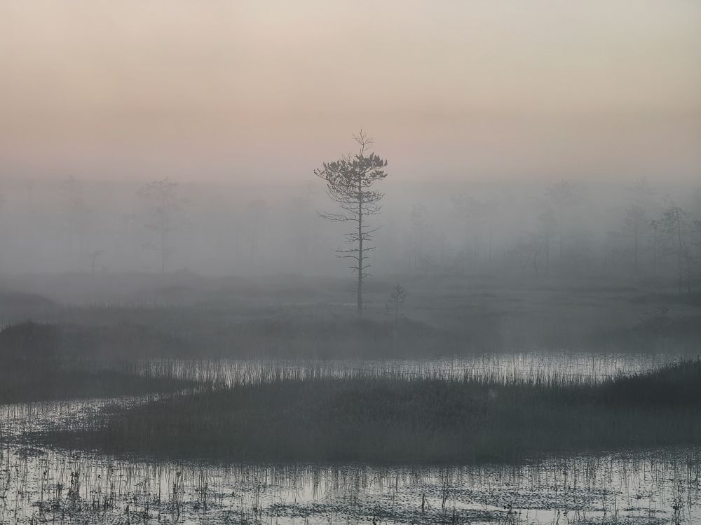 Photograph by Михаил Азаров