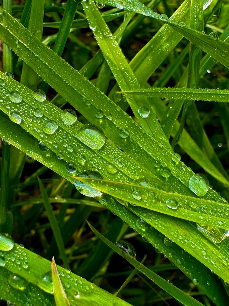 Photograph by Виктория Баева