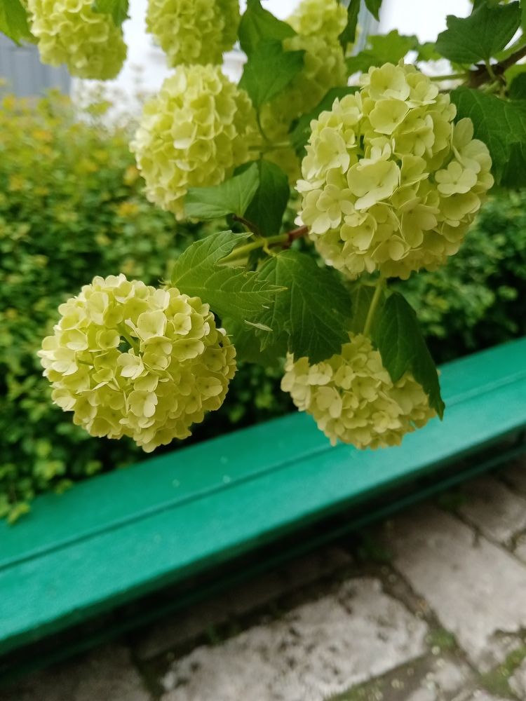 Фотография автора Маргарита Белека