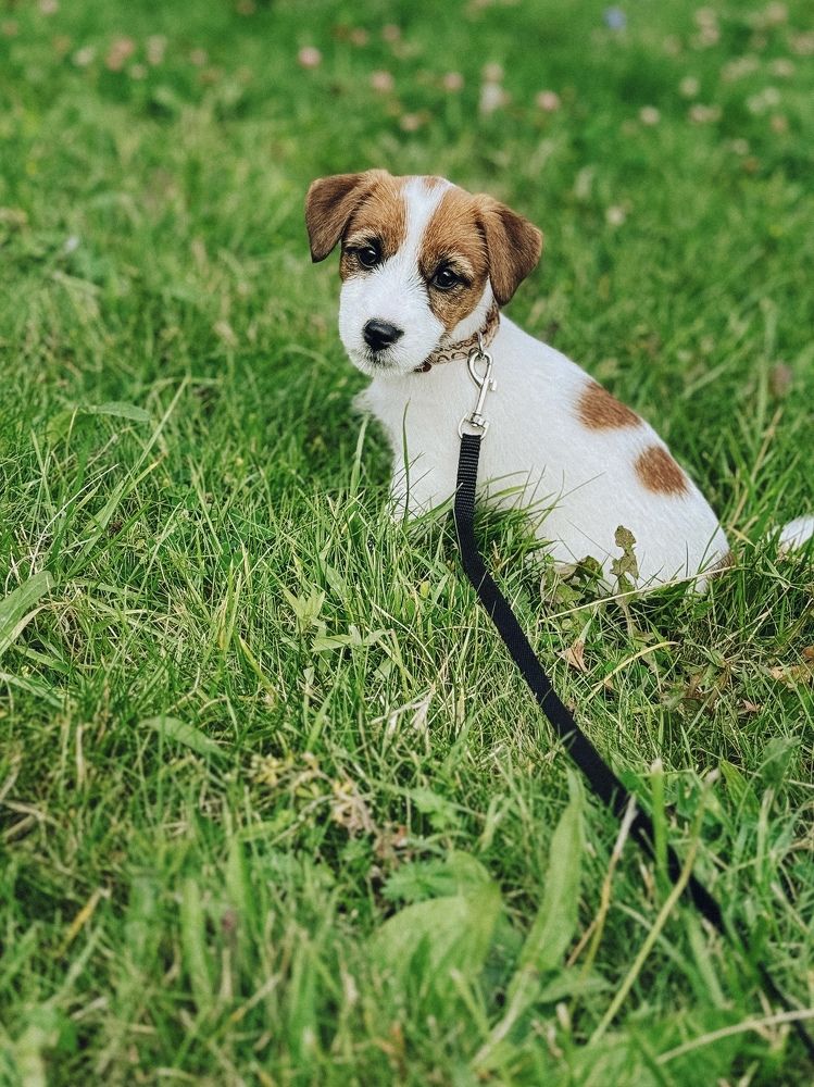 Photograph by Виктория Баева