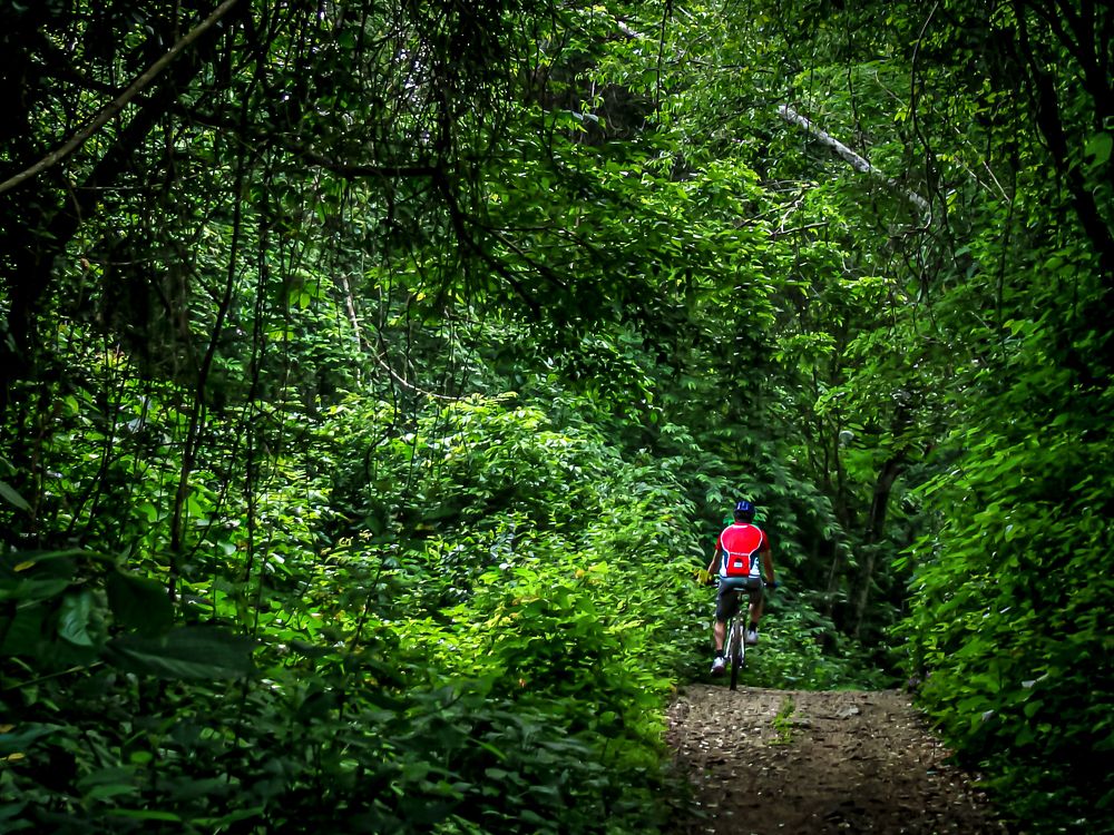 Фотография автора Rodolfo Pimentel