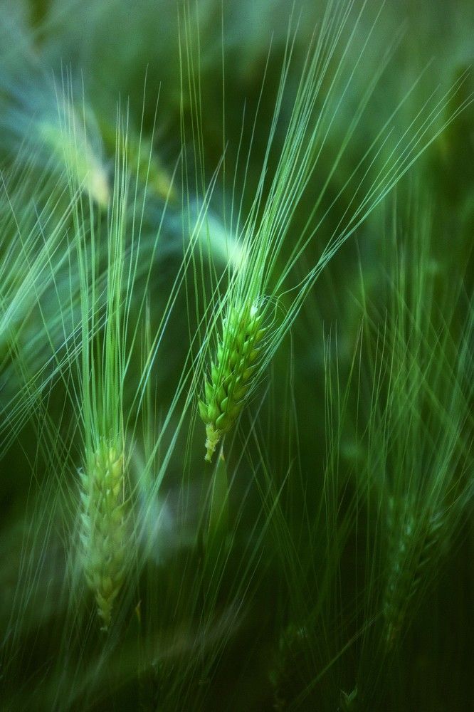 Photograph by Татьяна Максакова